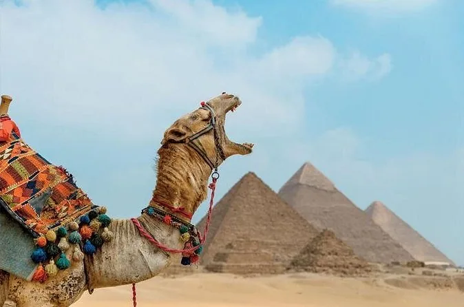 Private Giza Tour with Camel, Lunch and Interior