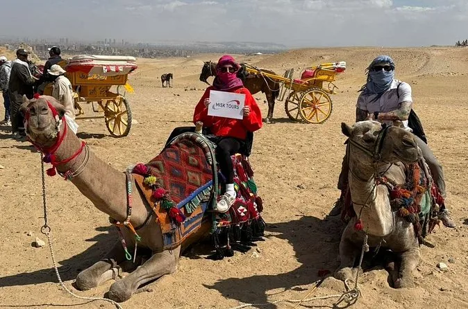Saddled camels resting on the sand with decorated horse carts behind them at the edge of the Giza plateau