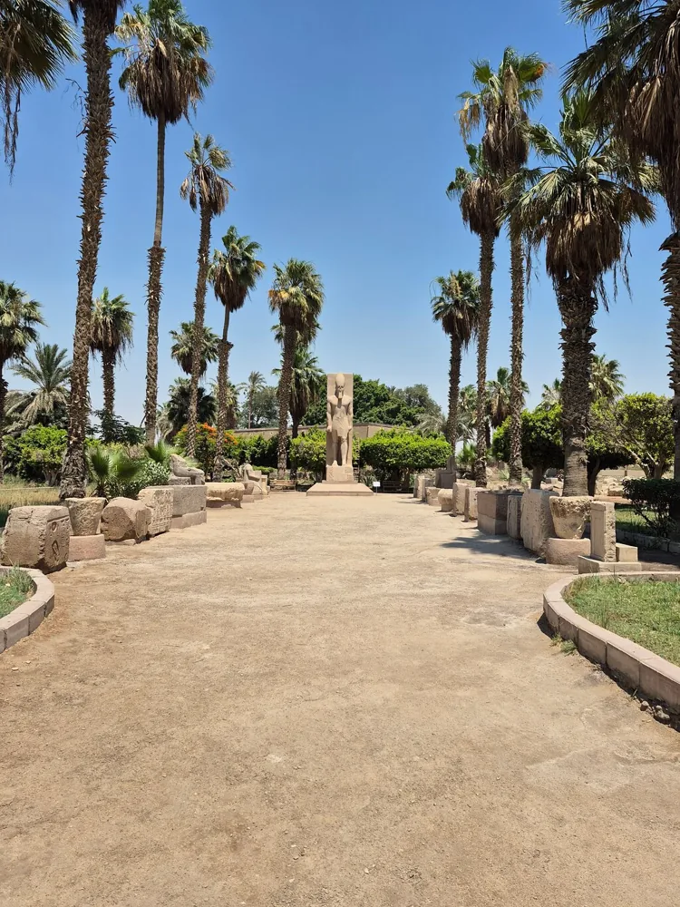 A palm-lined path through the open-air museum at Memphis leading to a standing statue